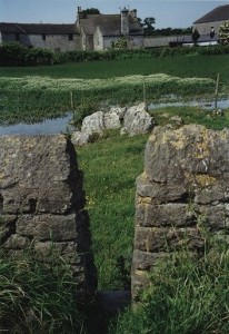 holme